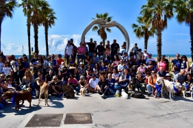 Primera edición de "Mi Querido Peludo" Rotacan Caminata Solidaria.